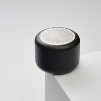 Фото товара Беспроводная колонка Пэшн (Passion) 80dB 600 mAh (Bluetooth 5.4), черная