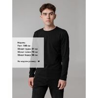 Фото товара Футболка с длинным рукавом Lehta, черная, размер S