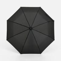 Фото товара Зонт складной Monsoon, черный