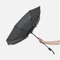 Фото товара Зонт складной Monsoon, черный