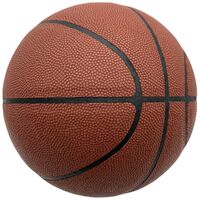 Фото товара Баскетбольный мяч Dunk, размер 5