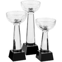 Фото товара Кубок Cupture, большой