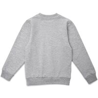 Фото товара Свитшот Toima Kids 2.0, серый меланж, 6 лет
