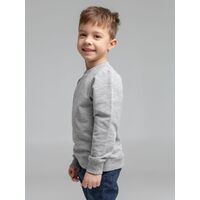 Фото товара Свитшот Toima Kids 2.0, серый меланж, 6 лет