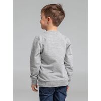 Фото товара Свитшот Toima Kids 2.0, серый меланж, 6 лет