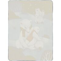 Фото товара Флисовый плед Wintart Bear