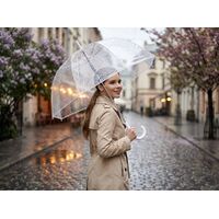 Фото товара Прозрачный зонт-трость Clear
