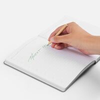 Фото товара Набор цветных карандашей Pencilvania Mini, крафт