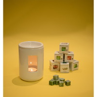 Фото товара Аромалампа SCENT, белый, 12,5х8,5см, керамика=