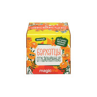 Фото товара Набор для выращивания "Экокуб Magicme "Бархатцы"