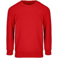 Свитшот детский Columbia Kids, красный, на рост 96-104
