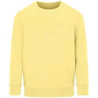 Свитшот детский Columbia Kids, светло-желтый, на рост 96-104