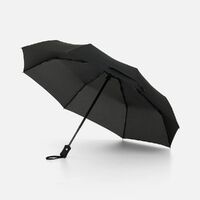 Фото товара Зонт складной Monsoon, черный