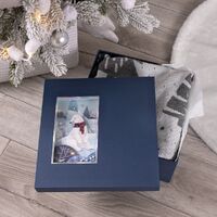 Фото товара Коробка The Blue Bear, M