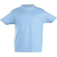 Футболка детская Imperial Kids голубая, на рост 96-104 см (4 года)